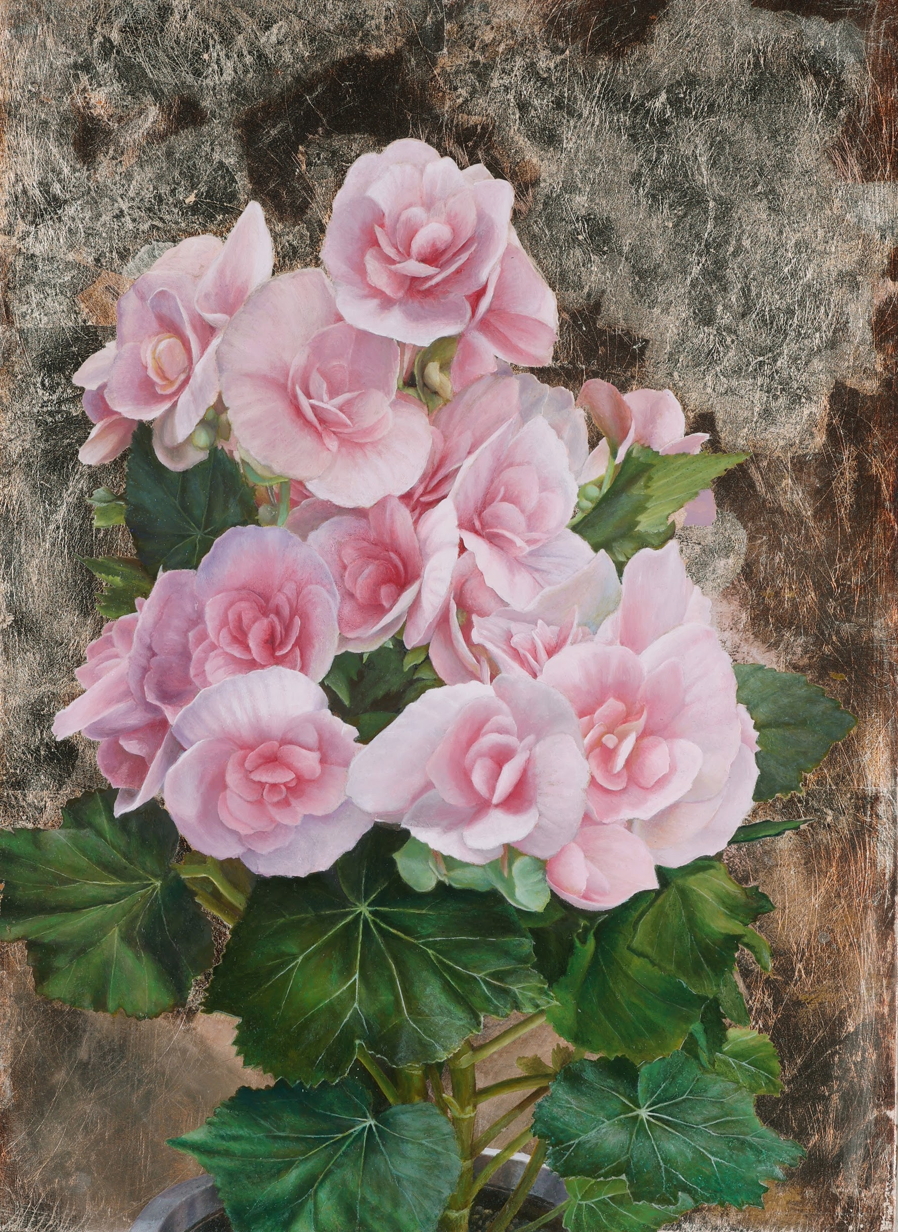 薔薇